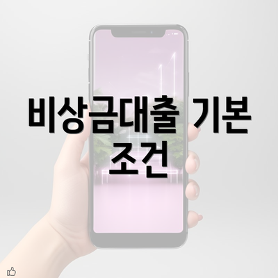 비상금대출 기본 조건