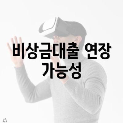 비상금대출 연장 가능성