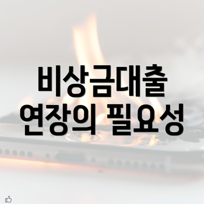 비상금대출 연장의 필요성