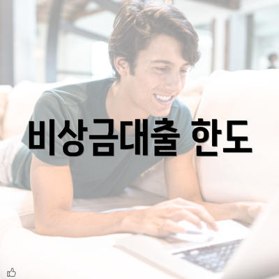 비상금대출 한도