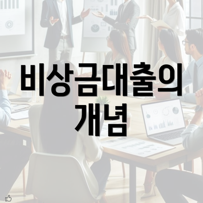 비상금대출의 개념