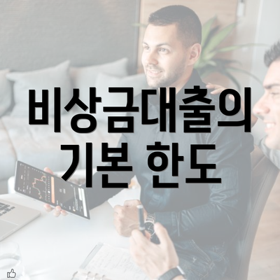 비상금대출의 기본 한도