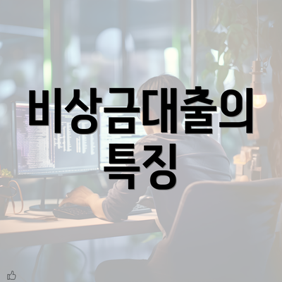 비상금대출의 특징