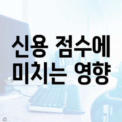 신용 점수에 미치는 영향