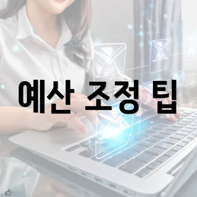 예산 조정 팁