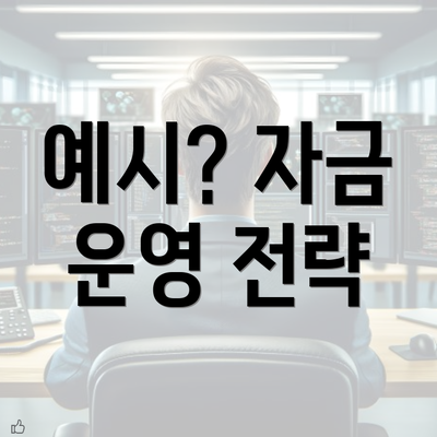 예시? 자금 운영 전략