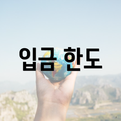 입금 한도