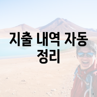 지출 내역 자동 정리