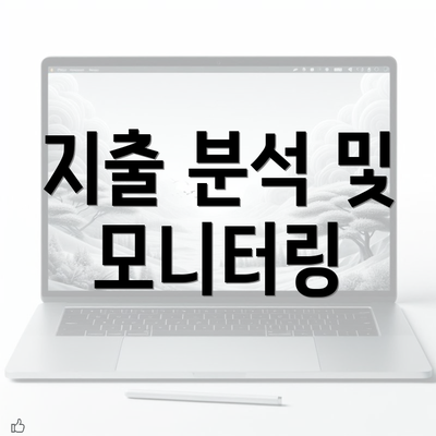 지출 분석 및 모니터링