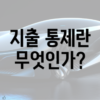 지출 통제란 무엇인가?