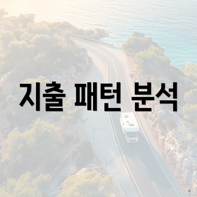 지출 패턴 분석