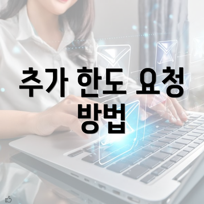 추가 한도 요청 방법