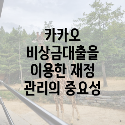 카카오 비상금대출을 이용한 재정 관리의 중요성