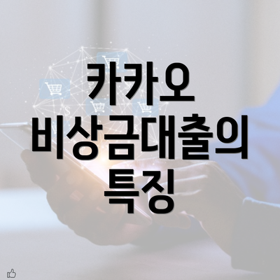 카카오 비상금대출의 특징