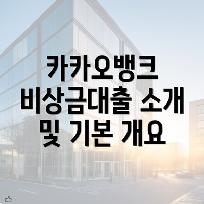 카카오뱅크 비상금대출 소개 및 기본 개요