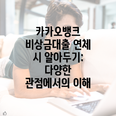 카카오뱅크 비상금대출 연체 시 알아두기: 다양한 관점에서의 이해