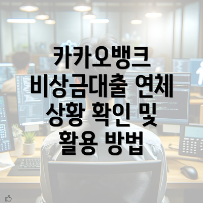 카카오뱅크 비상금대출 연체 상황 확인 및 활용 방법