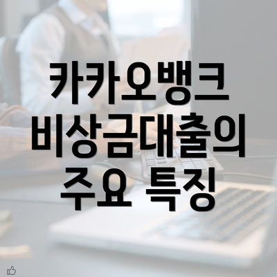 카카오뱅크 비상금대출의 주요 특징