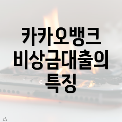 카카오뱅크 비상금대출의 특징