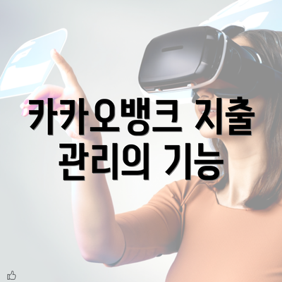 카카오뱅크 지출 관리의 기능