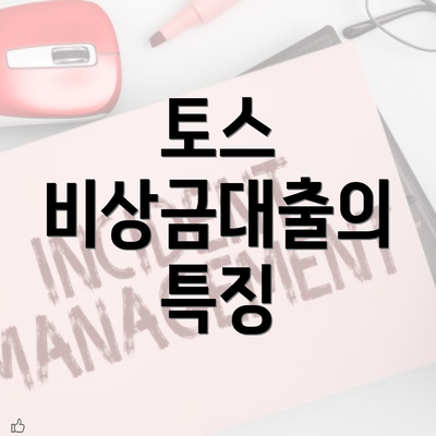 토스 비상금대출의 특징