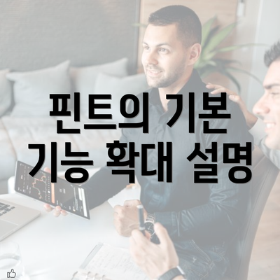 핀트의 기본 기능 확대 설명