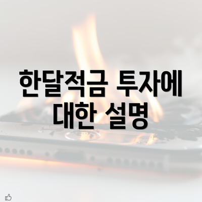 한달적금 투자에 대한 설명