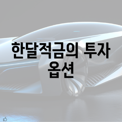 한달적금의 투자 옵션