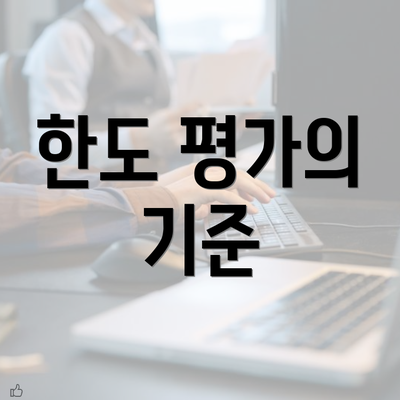 한도 평가의 기준