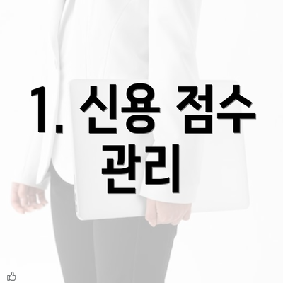 1. 신용 점수 관리