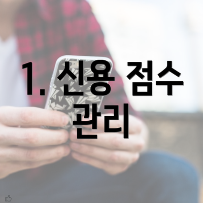 1. 신용 점수 관리