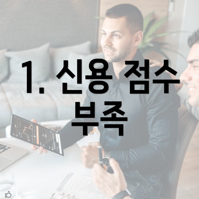 1. 신용 점수 부족