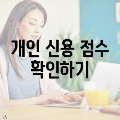 개인 신용 점수 확인하기