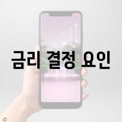 금리 결정 요인