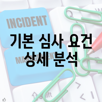 기본 심사 요건 상세 분석