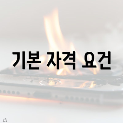 기본 자격 요건