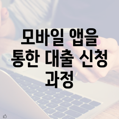 모바일 앱을 통한 대출 신청 과정