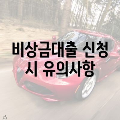 비상금대출 신청 시 유의사항