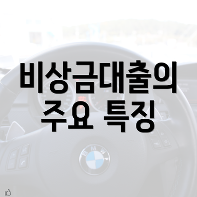 비상금대출의 주요 특징