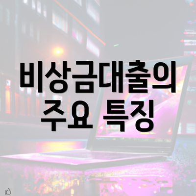 비상금대출의 주요 특징