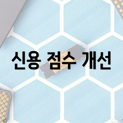 신용 점수 개선