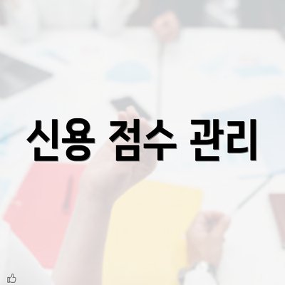 신용 점수 관리