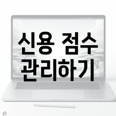 신용 점수 관리하기