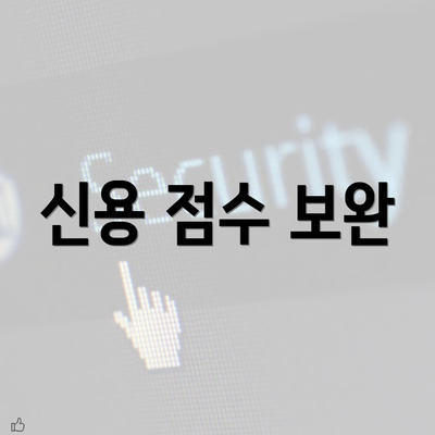 신용 점수 보완