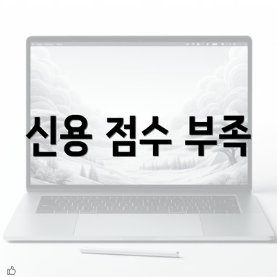 신용 점수 부족