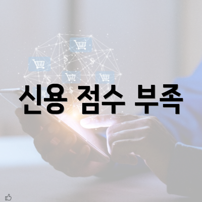 신용 점수 부족