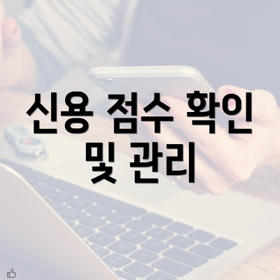 신용 점수 확인 및 관리