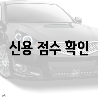 신용 점수 확인