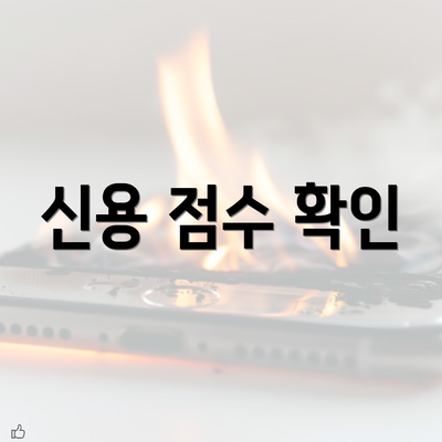 신용 점수 확인