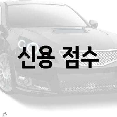 신용 점수